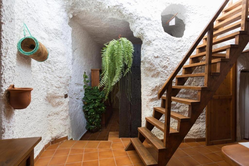 Live Socorro Cave Villa Güimar Kültér fotó