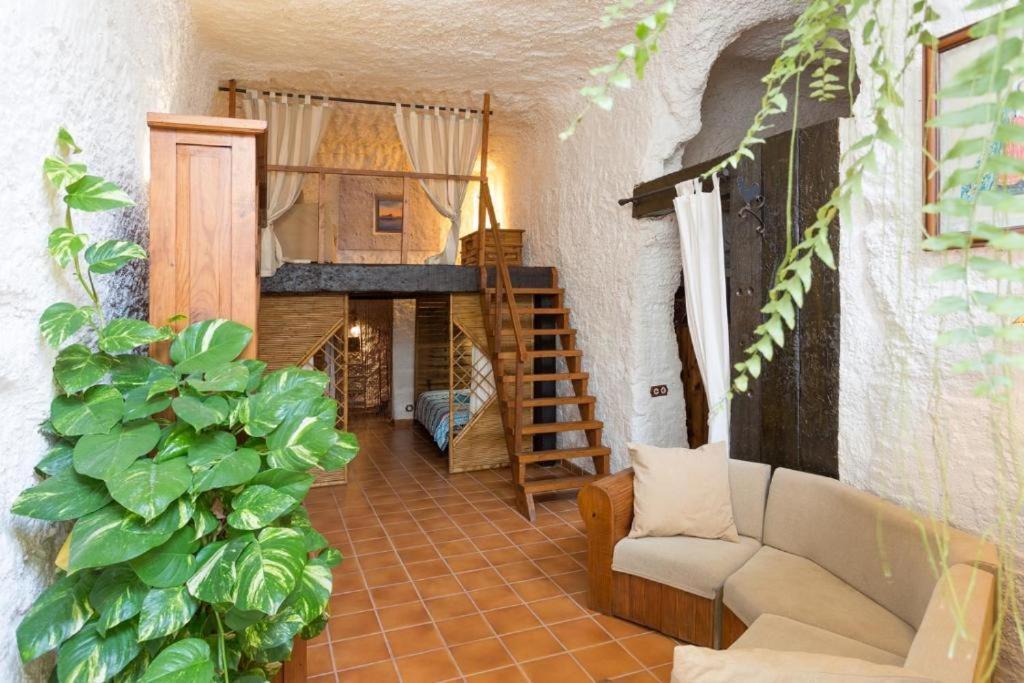 Live Socorro Cave Villa Güimar Kültér fotó